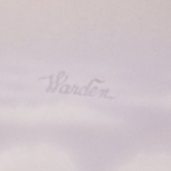 Bright Red Braniff International plane travel poster 16x20" on pastel sky, - Picture 5 of 5